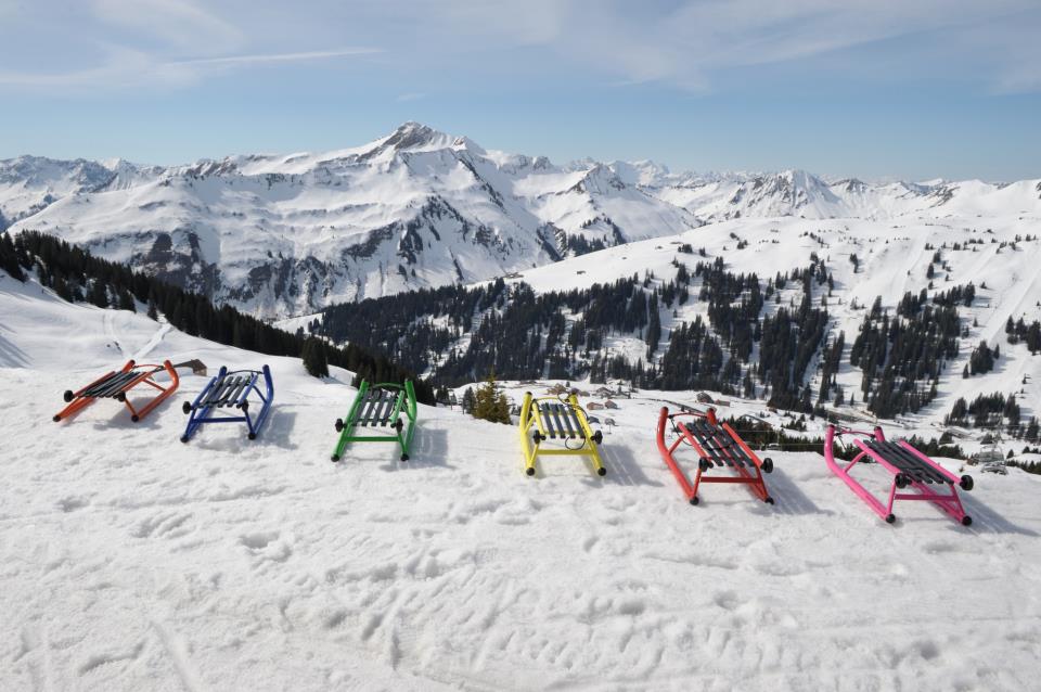 Wisa Gloria Schlitten in sechs Farben im Schnee vor Alpenpanorama
